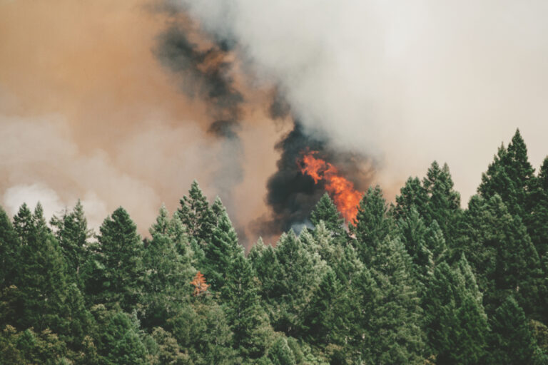 High-Frequent Situational Awareness (Wildfires)