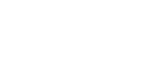 adaptive-launch-solutions-als