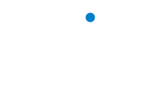 Pale Blue