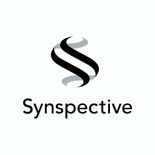 Synspective Inc.