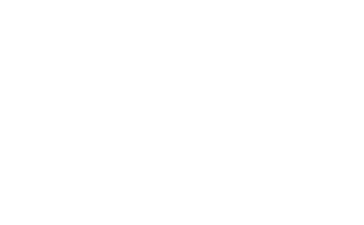 Scientific Experimental Satellite