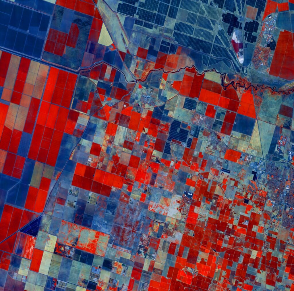 Data as a Service — Xplore Inc.