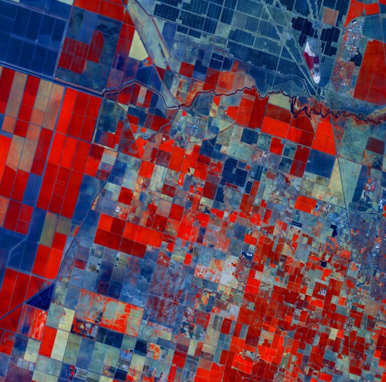 Data as a Service