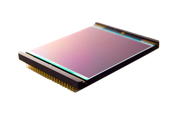 Teledyne e2v CCD230-84 Large-Area Back-Illuminated Scientific CCD