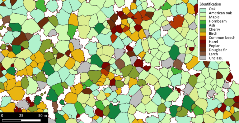 IADAS Forest Species AI Mapping