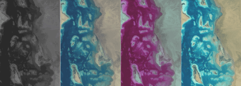 Geospatial Intelligence and Remote Sensing Service