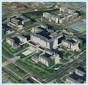 Beijing Series Satellite True 3D Scene Data Products