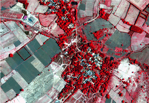 Remote Sensing Data and Services
