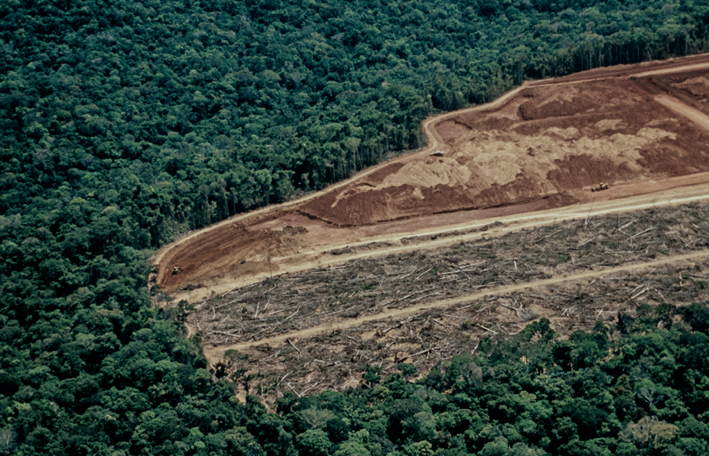 Deforestation Solution