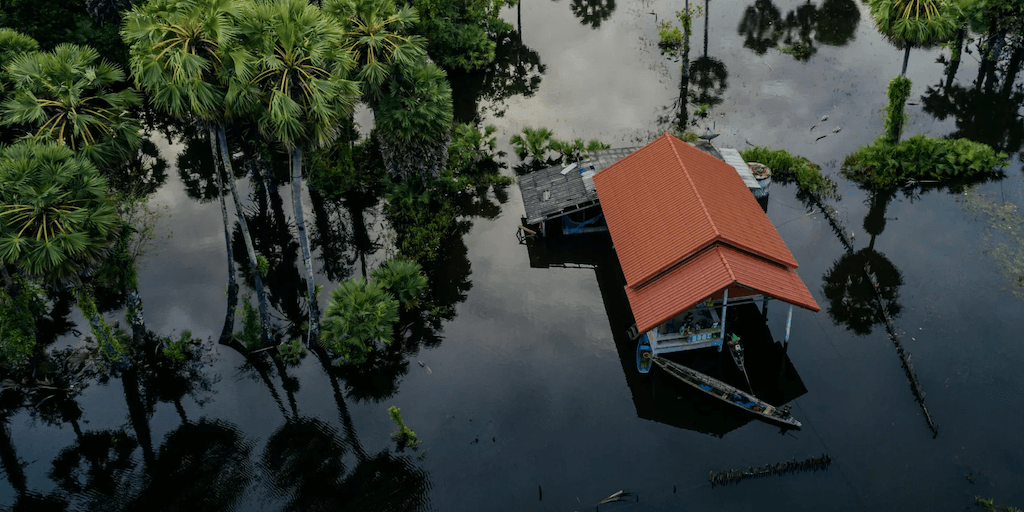 ICEYE Flood Insights