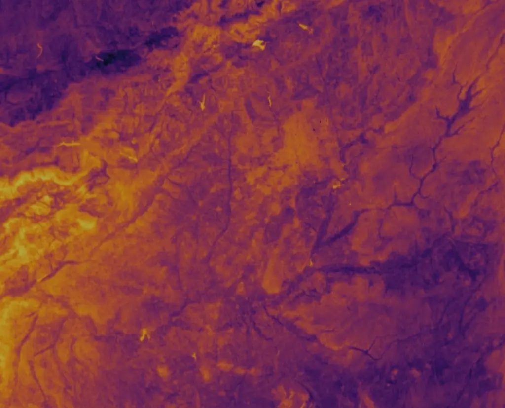 Land Surface Temperature