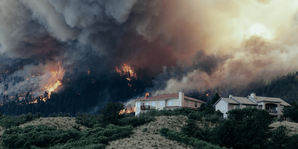 Wildfire Insights